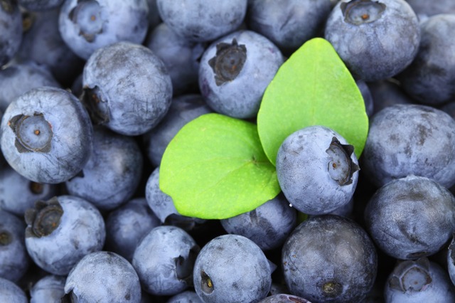 Heidelbeeren gegen Stress