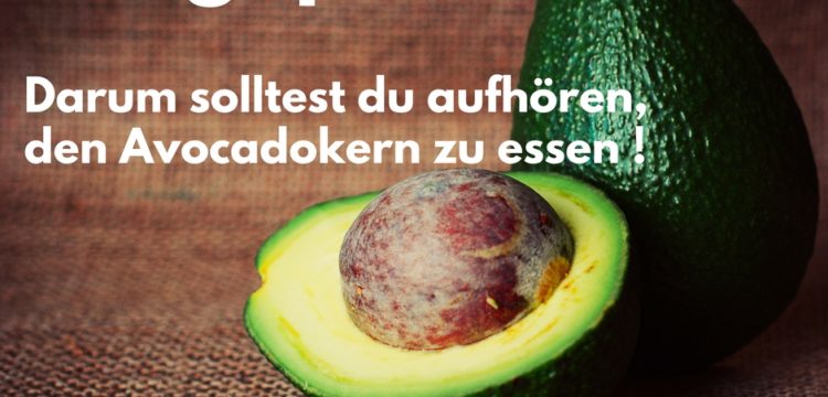 Aufgepasst, darum solltest du aufhören, den Avocadokern zu essen