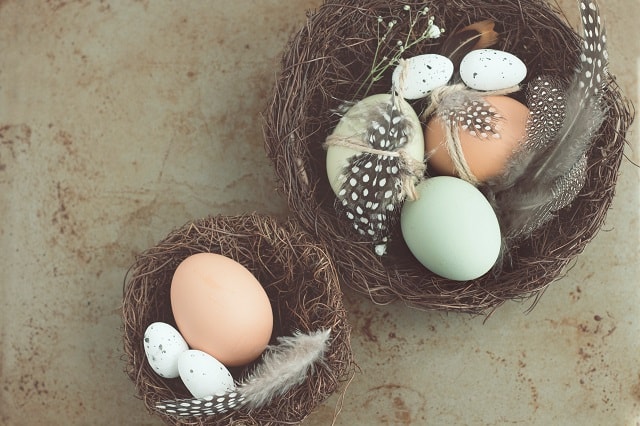 Kannst du zu viele Eier essen? Wie viele sind zu viele? Sind Eier gesund oder Cholesterinbomben?