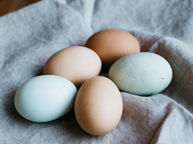 Kannst du zu viele Eier essen? Wie viele sind zu viele? Sind Eier gesund oder Cholesterinbomben?