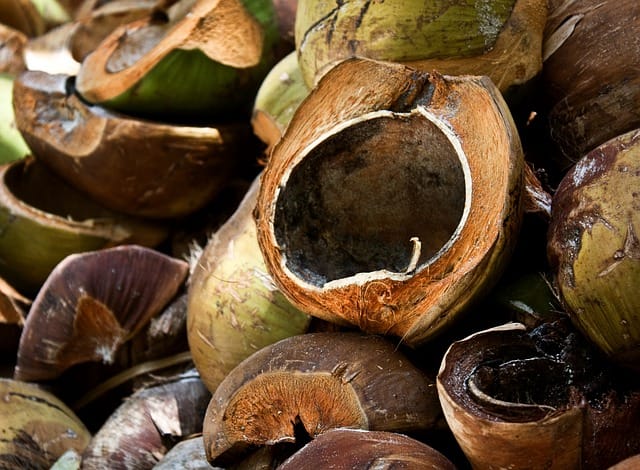 5 Gründe, warum du mit Kokosöl kochen solltest