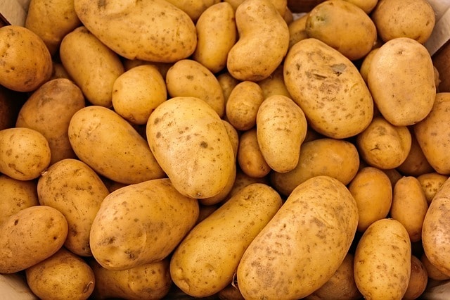 Ist es OK, keimende Kartoffeln zu essen und wie kannst du sie länger haltbar machen?