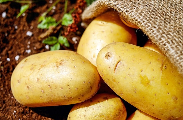 Ist es OK, keimende Kartoffeln zu essen und wie kannst du sie länger haltbar machen?