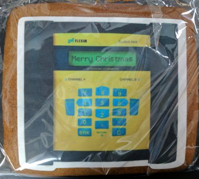 Brauner Lebkuchen mit Zuckerdekor dekoriert –  – 100g