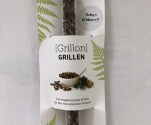 Grillon – Snack Insects –
