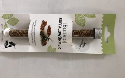 Buffalowürmer – Snack Insects –