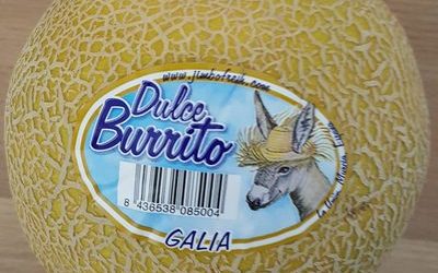 Galia – Dulce Burrito – 1
