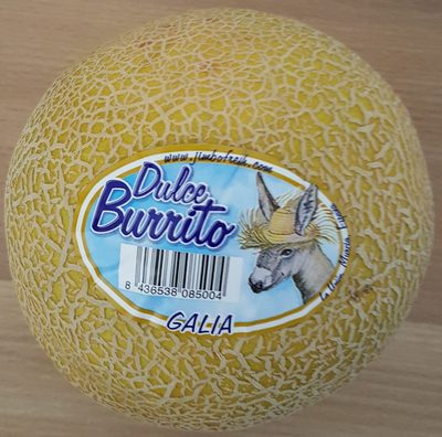 Galia – Dulce Burrito – 1