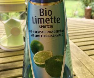 Bio Limette – Christinen Brunnen – 1 Glasflasche