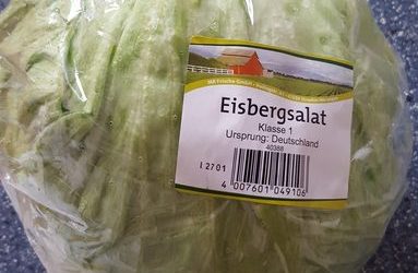 Eisbergsalat – MR Frische GmbH – 1