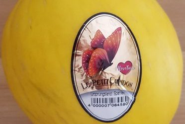 Honigmelone – Le Petit Cupidon – 1 kg