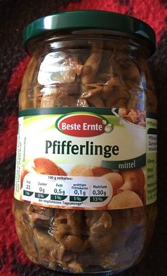 Pfifferlinge – Beste Ernte –