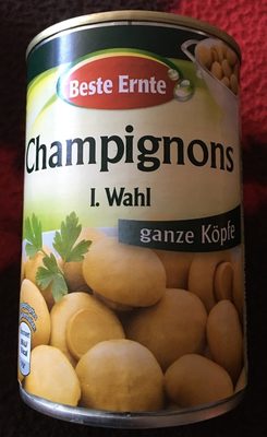 Champignons – Beste Ernte –