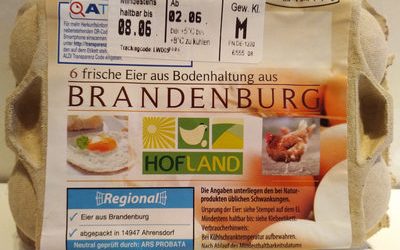 Frische Eier – Hofland – 6 Stück