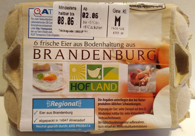 Frische Eier – Hofland – 6 Stück